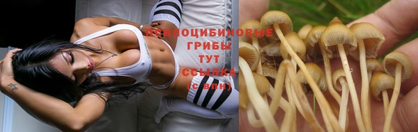 амф Каменск-Шахтинский