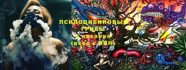 2c-b Карпинск
